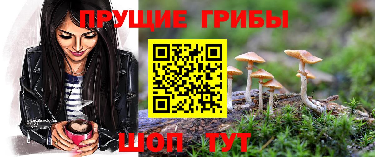 Псилоцибиновые грибы ЛСД Саянск